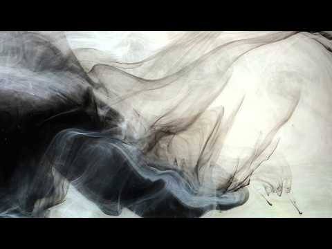 Sergey Zarin - Damask