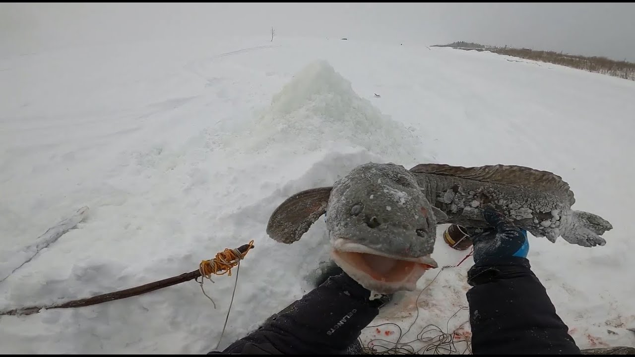 Зимняя Рыбалка На Енисее - испытание для рыболова. Туруханский район