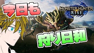 【MHRise】ヘビィボウガン揃えたりクエスト埋めたり