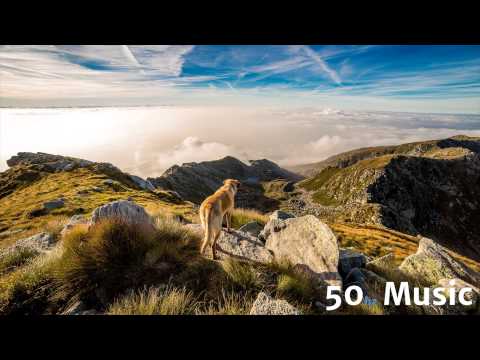 Freeman & DJ Winn & Drilla - All About You (FonLeman Remix)