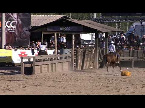 Final Freio de Ouro (RS) - 1º lugar - Campana Vicuña; e 2º lugar - Ibérica da Vendramin  (Campo II)