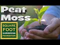 Why Use Peat Moss in Gardening