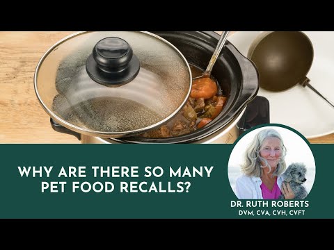 Why Are There So Many Pet Food Recalls?