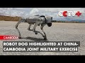 Robot Dog Highlighted at China-Cambodia Joint Military Exercise