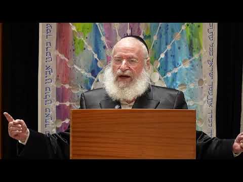 Reading the Megillah at Nighttime & Daytime | by Rav Asher Weiss Shlit"a (5786)