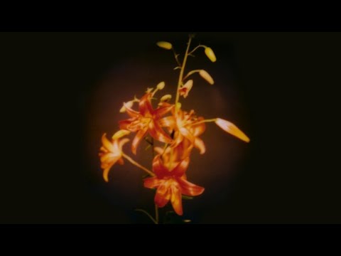 Listen once, and life will start moving in a way you can’t explain...