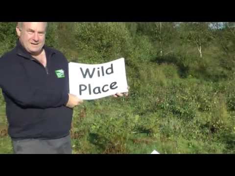 The Great Heath Living Landscape