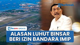 Alasan Luhut Beri Izin Pembangunan Bandara IMIP, Penerbangan Domestik Fasilitas Bagi Investor