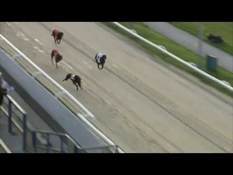 2017 WILLIAM HILL CLASSIC - 3RD SEMI - T6 NEWINN SHADOW