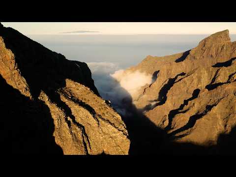 Fejká - Tigotan (Official Video | Canary Islands)