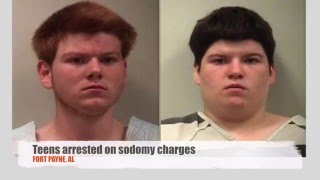 Two Fort Payne, Alabama, teens charged with sodomy