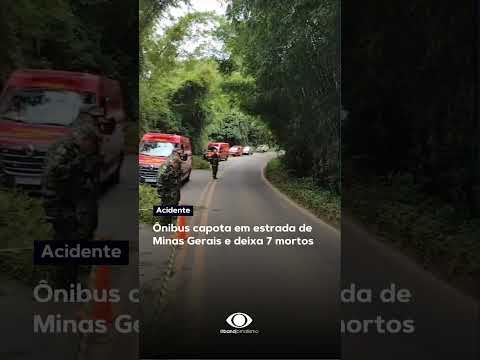 Ônibus capota em estrada de Minas Gerais e deixa 7 mortos