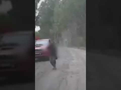 Masivo allanamiento deja 4 detenidos en Cañete