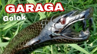 Download lagu GARAGA Machete Asghar Blade mp3 Download lagu GARAGA Machete Asghar Blade mp3