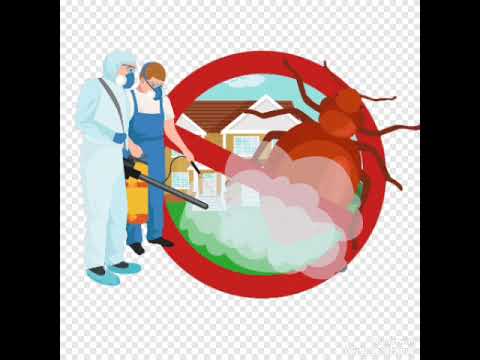 فيديو  thumbnail