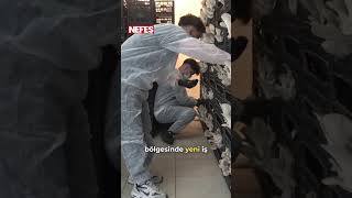 "Tadı et gibi" dediler, üretime başladılar