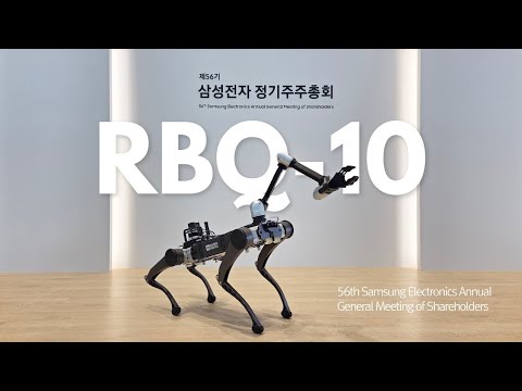 RBQ-10 Review Video 1