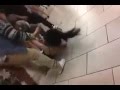 bloody girl fight 