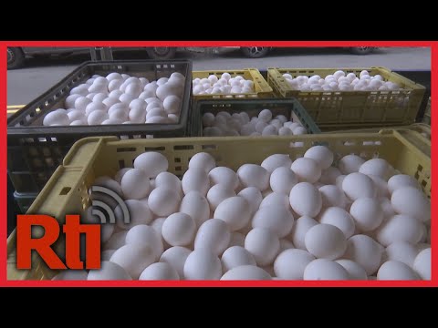台灣缺蛋持續延燒！蛋荒之下，雞農訴求提高蛋價（Farmers demand higher egg prices as shortage continues | Taiwan News | RTI）