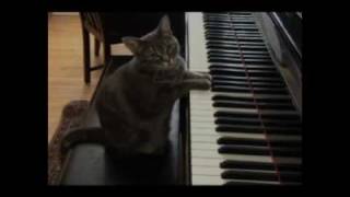 Bugge Wesseltoft  - MIN by