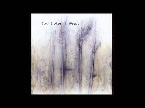 Saul Stokes – "Fields" (2003)
