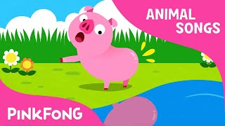 Did You Ever See My Tail? | Animal Songs | PINKFONG Songs for Children