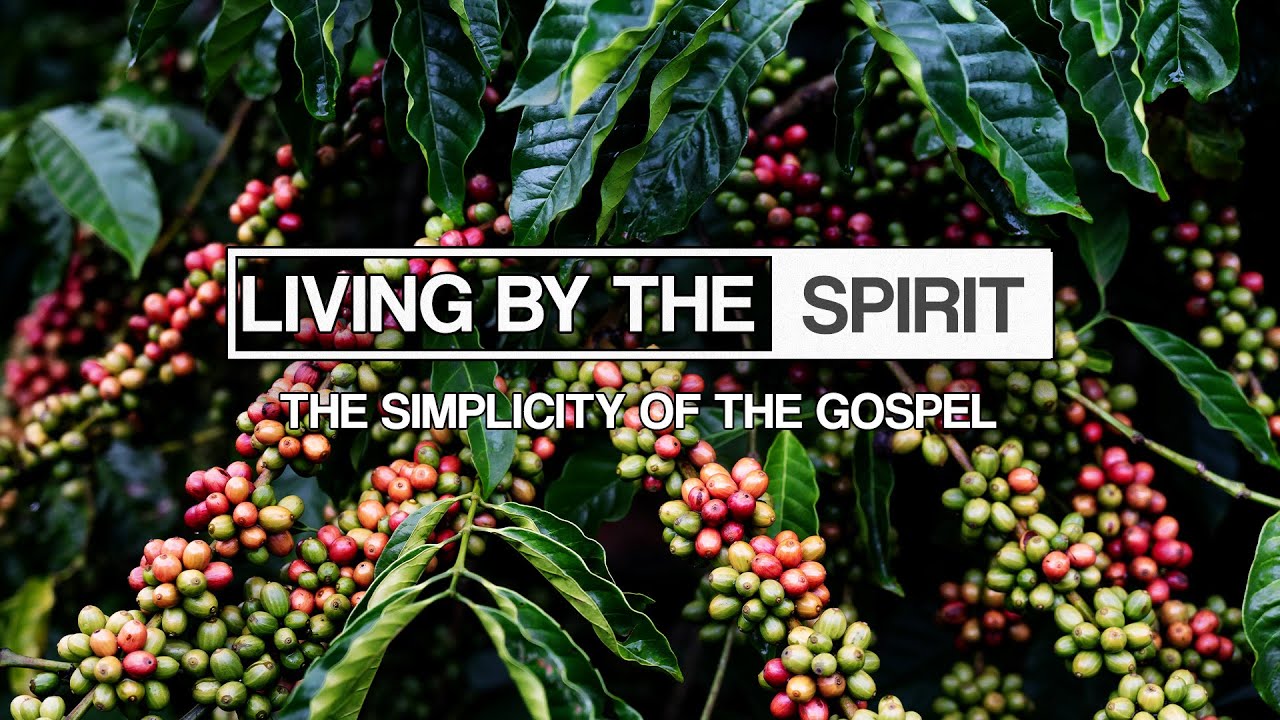 The Simplicity of the Gospel | Mike Brogen