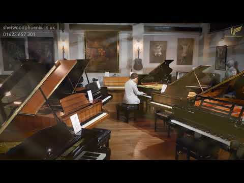 New Danemann Baby Grand | Very Compact