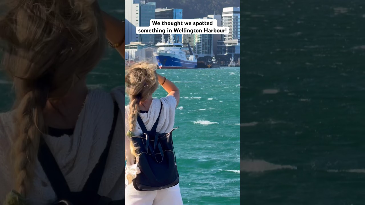 YouTube Short thumbnail