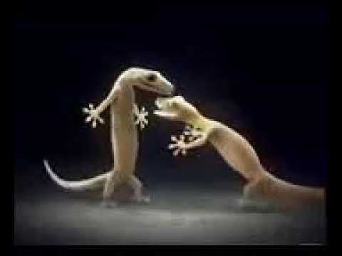 صدكيني اذوب اذوب حزين جداا