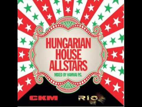 Stereo Palma -Miami Bitch (original edit)