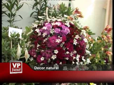 Decor natural