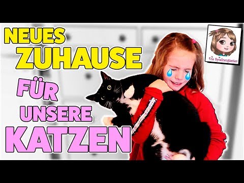 A NEW HOME FOR OUR CATS 😭 How could this have happened? 😿