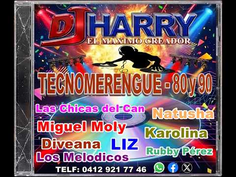 MEGAMIX TECNOMERENGUE 80-90 - DJ Harry