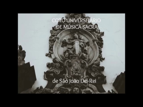 Quanta sete nel mio cuore - D. Stefani