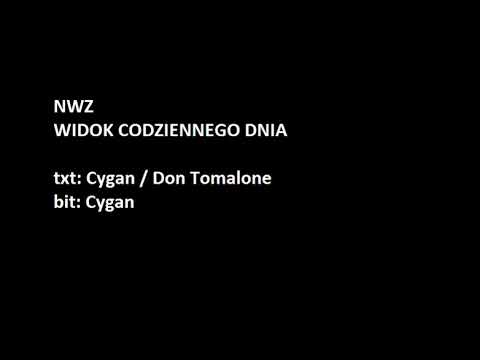 NWZ - Widok Codziennego Dnia