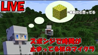 【マイクラ】最新がスポンジだと思ってる奴の配信