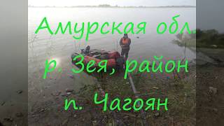 Чем ловить на реке амурской области
