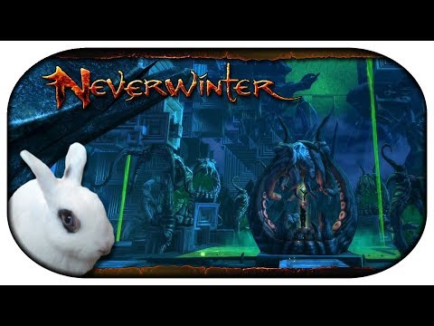 NEVERWINTER: Paladin-LP 🐇 75 - Lecker Gehirne