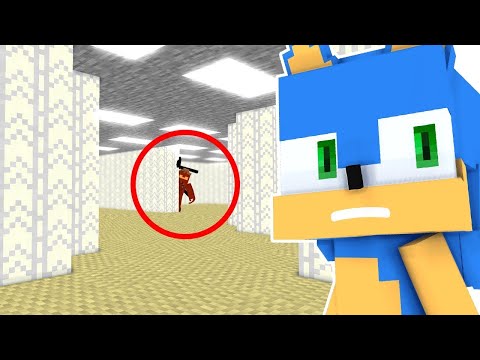 Sonic got into the BACKROOMS (Minecraft Animation Teaser) | SonicLife