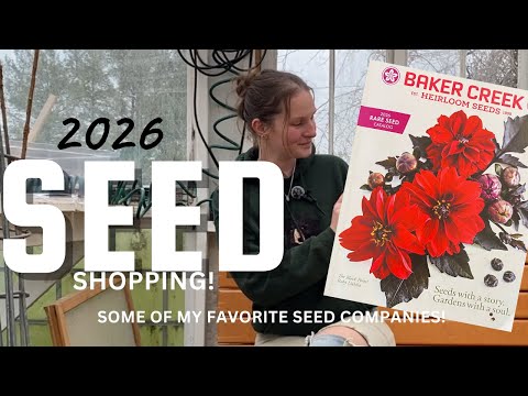 My Favorite Seed Companies + The Seeds I’m Buying for 2026