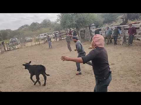 hierras en el carrizal