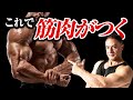 【筋トレ】筋肉がつくまでの流れを科学的に解説して必要なものを明らかにしました