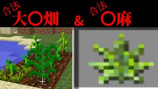 【マイクラ鬼畜MOD】～大〇畑で〇麻を合法栽培～BTWの世界で生き残れ！第5苦【ゆっくり実況】