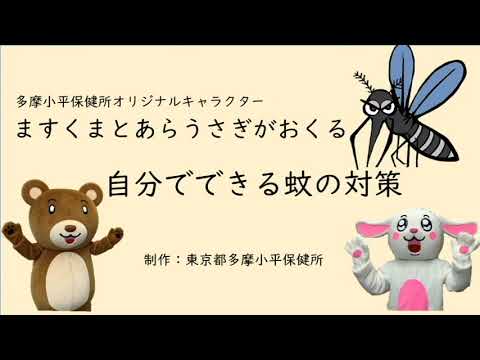 ますくまとあらうさぎがおくる自分でできる蚊の対策