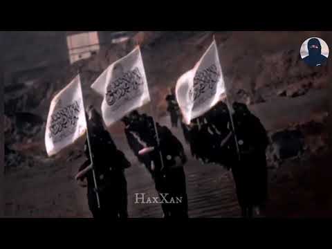 Afghanistan Jihad Status 💪   Tabliban Power 🔥x Xuda Havar slowed