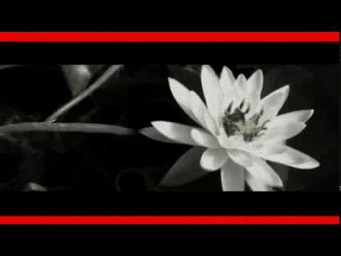 SICILIAN ALL STARS - G1 feat. KEVIN CARPINTERI, CRASTA, ZIO FRANKY, SALVO SAVE, DOMINIC