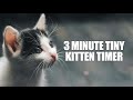 3 Minute Timer Three Minute Tiny Kitten Timer Kitten Meowing Alarm Sound