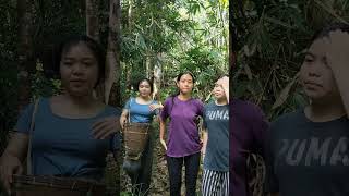 Download lagu Tiga gadis Dayak huni hutan Kalimantan mp3