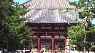 preview picture of video 'Japan Trip - Viaggio Giappone - 6/7 - Miyajima, Nara, Osaka'